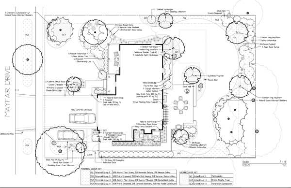 Consult + Plan — Staples Landscaping