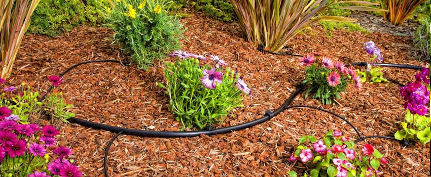 Irrigation — Staples Landscaping San Diego